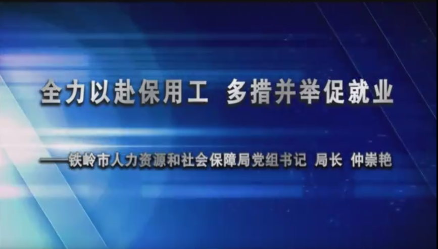 全力以赴保用工 多措并举促就业
